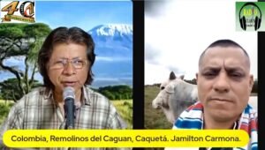 Jamiltón Carmona